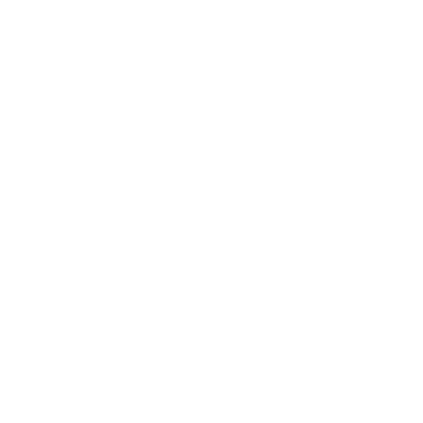 easycop icon
